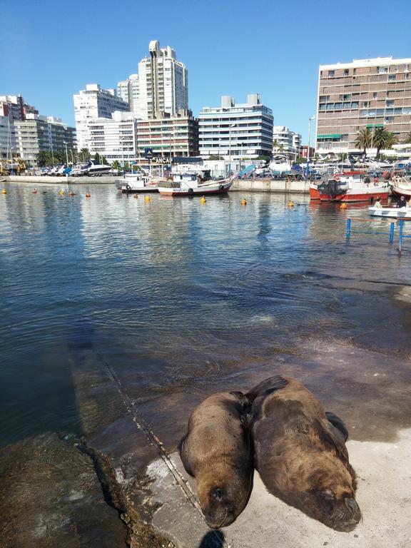 Edificio Canal Azul Punta del Este Bagian luar foto